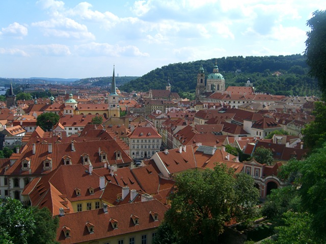 Panorama
View