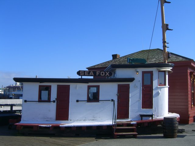 Sea Fox